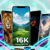 16K Wallpaper