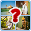 Guess the animal name