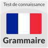 Test in Grammar - French