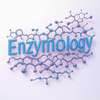 Enzymology Notes