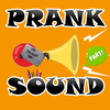 Prank Sound Telolet, Fart