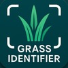 Grass Identifier: AI Scan