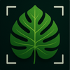 Plant Identifier: AI Scan