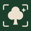 Tree Identifier: AI Scanner