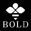 Bold Studios