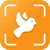 Bird Identifier