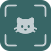 Cat Identifier