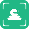 Snake Identifier