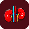 Kidney Diseases and Treatment