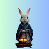 Lapin Sage : Sleep, Meditate
