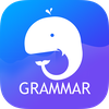 English Grammar: Learn & Test