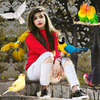 Birds Photo frame : Bird photo
