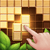 Wood Block Puzzle Game