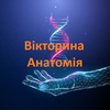 Анатомія Вікторина Українською
