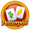 Petirrp66