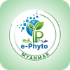 e Phyto