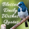 Blessed Daily Wishes and Quote