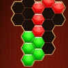hexa shape: match puzzle