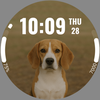 Dog & Puppy Watch face