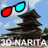 3D Photo Book [3D-NARITA]