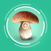 Mushroom Identifier - AI Snap