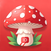 Mushroom ID: AI Fungi Finder