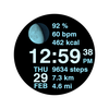 Fixed Watch Face