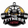 THE FITNESS FACTORY