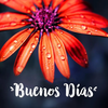 Buenos Días Imágenes