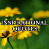 Inspirational Quotes