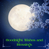 Goodnight Wishes and Blessings