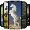 Horse Wallpapers