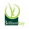 BRILLIANT RAY ENGLISH SCHOOL
