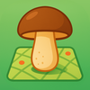 Mushroom Map: Spots near you