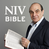 NIV Audio Bible: David Suchet