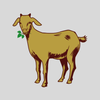 Goat Farming App
