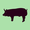 Pig Farm Records App
