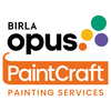 Birla Opus Paintcraft Pulse