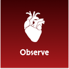 Observe