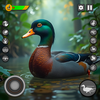 Virtual Duck Family Game 3D