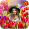 Tulip Flower Photo Frames 2026