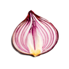 Onion Search Engine