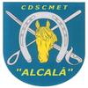 cdscmetalcala