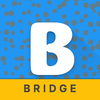 Bridge - iPhone Companion App