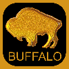 Buffalo Tips