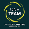 OW One Team