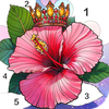 Calm Zen Color Coloring games