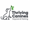 Thriving Canines