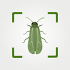 Pest ID