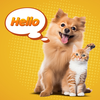 Dog & Cat: Pet Translator App